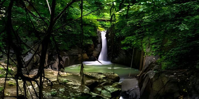 Curug Glanang: Permata Tersembunyi di Hutan Temanggung yang Menantang Petualang