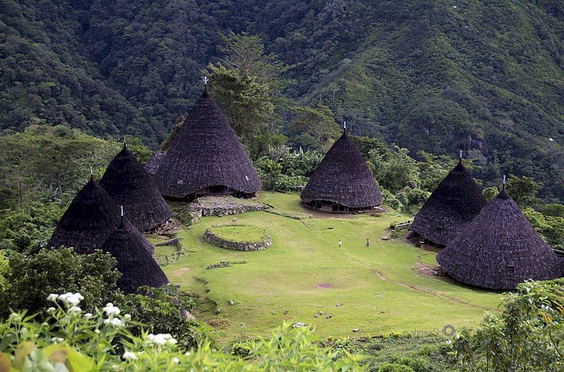 Wae Rebo: Keajaiban Adat yang Menyentuh Langit di Ketinggian Manggarai
