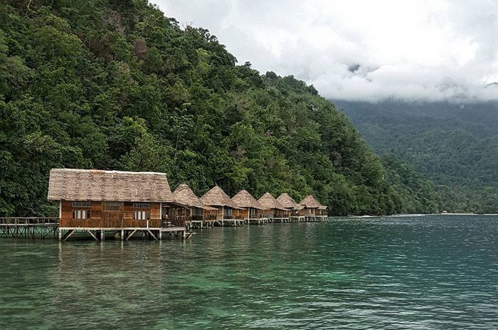 Rekomendasi Tempat Wisata di Maluku yang Bisa Snorkeling dan Diving: Jelajahi Dunia Bawah Laut yang Kaya Warna