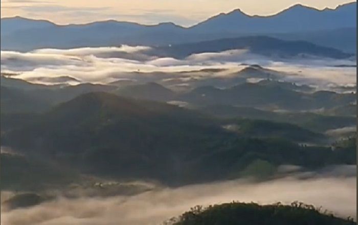 Objek Wisata dan Kegiatan Rekomendasi di Tahura Sultan Adam Mandiangin