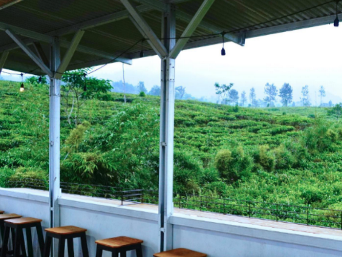 Kopi Bukit Ciater Subang, Kafe dengan Pesona Hamparan Bukit Kebun Teh