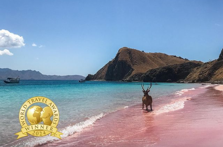 Indonesia Borong Penghargaan di World Travel Awards 2024, Berikut Daftar Prestasinya!