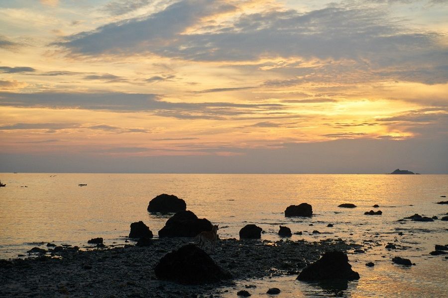 Menikmati Libur di Pelabuhan North Quay Surabaya, Pesona Senja dan Kuliner yang Menggoda