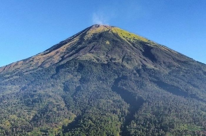 Mengenal Tradisi Unik Pendaki Gunung Sumbing, Wajib Bawa Kopi dan Santan