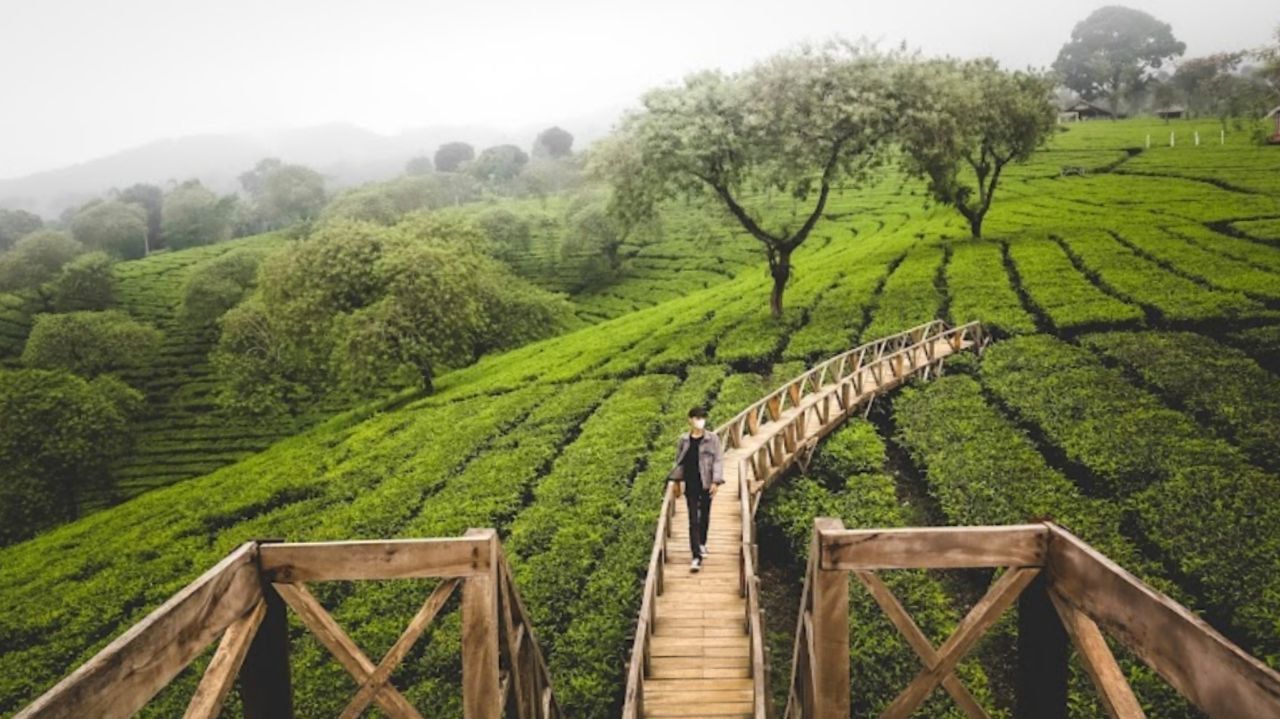 5 Destinasi Wisata Terdingin di Malang yang Wajib Dikunjungi
