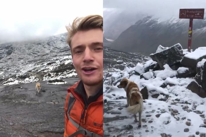 Viral, Kisah Pendaki Asal Inggris Diselamatkan Anjing Liar saat Tersesat di Pegunungan Peru