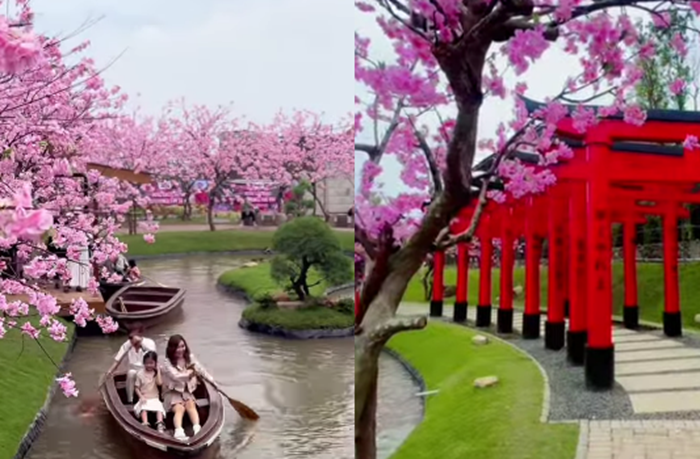 Menarik! Ada Wahana Taman Sakura Ala Jepang Baru di Prigen, Jawa Timur