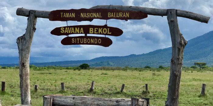 Liburan Seru ke Taman Nasional Baluran alias 'Africa Van Java', Ini Rute dan Harga Tiketnya!