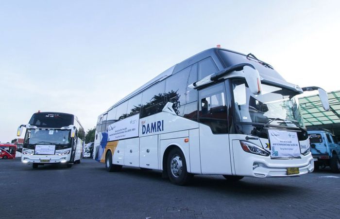 Harga Tiket Transportasi Umum Tidak Kena PPN 12 Persen, Masyarakat Diminta Tak Perlu Khawatir