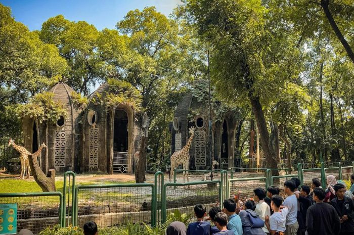 Harga Tiket Masuk Taman Margasatwa Ragunan 2025 dan Jam Operasional Terbaru