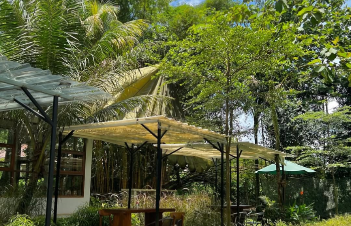 5 Hidden Gem Wisata Alam Depok 2025 yang Masih Sepi
