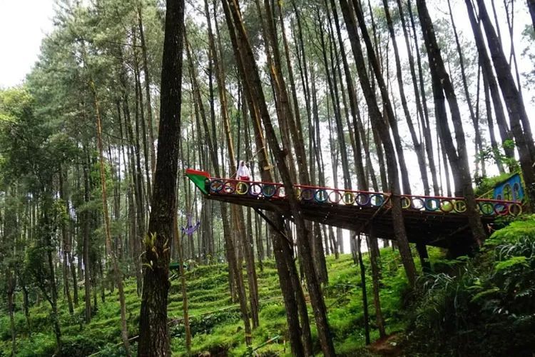 7 Tempat Wisata di Temanggung Terbaru 2025 Cocok Untuk Liburan