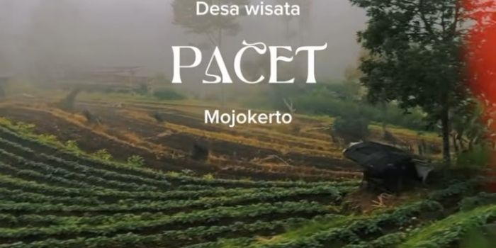8 Tempat Wisata di Pacet Mojokerto yang Cocok Untuk Liburan