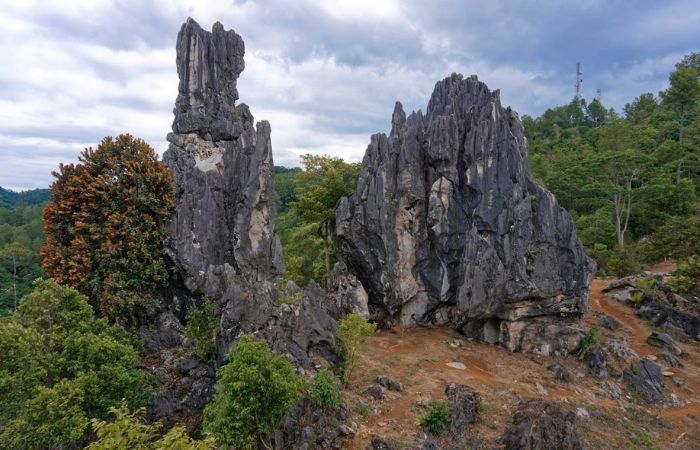 8 Tempat Wisata di Sawahlunto Terbaru 2025 Cocok Untuk Liburan
