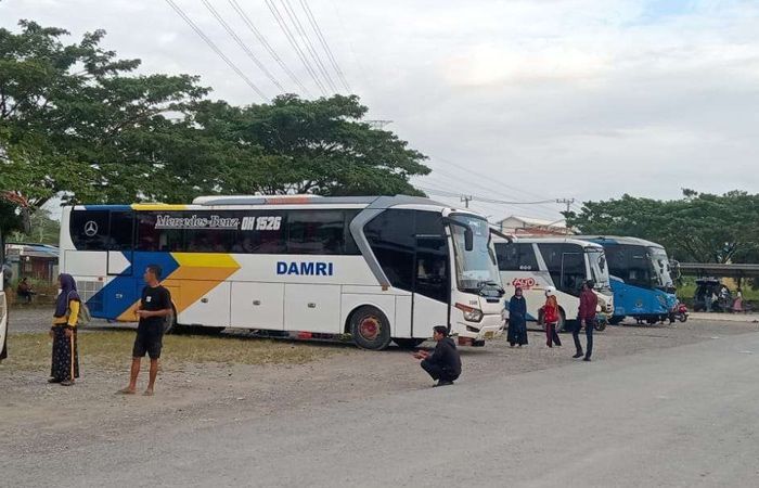 Tujuh Bus Damri Gratis Disediakan Pemprov Sultra untuk Kelancaran Mudik Lebaran 2025