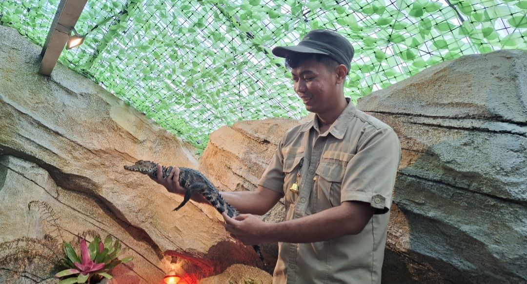 Sambut Libur Lebaran 2025, Ini Dia Zona Baru yang ditawarkan Suraloka Zoo Yogya, Apa Saja?