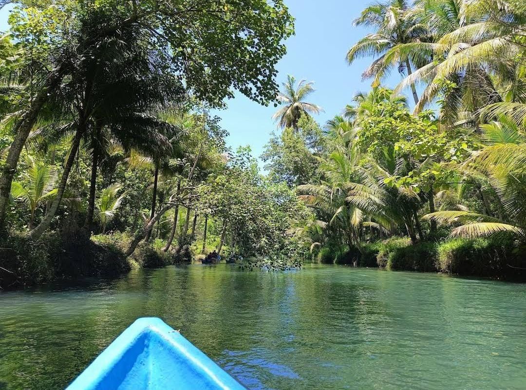 Khusus Anak Alam! Ini 3 Tempat Wisata Pacitan yang Masih Alami