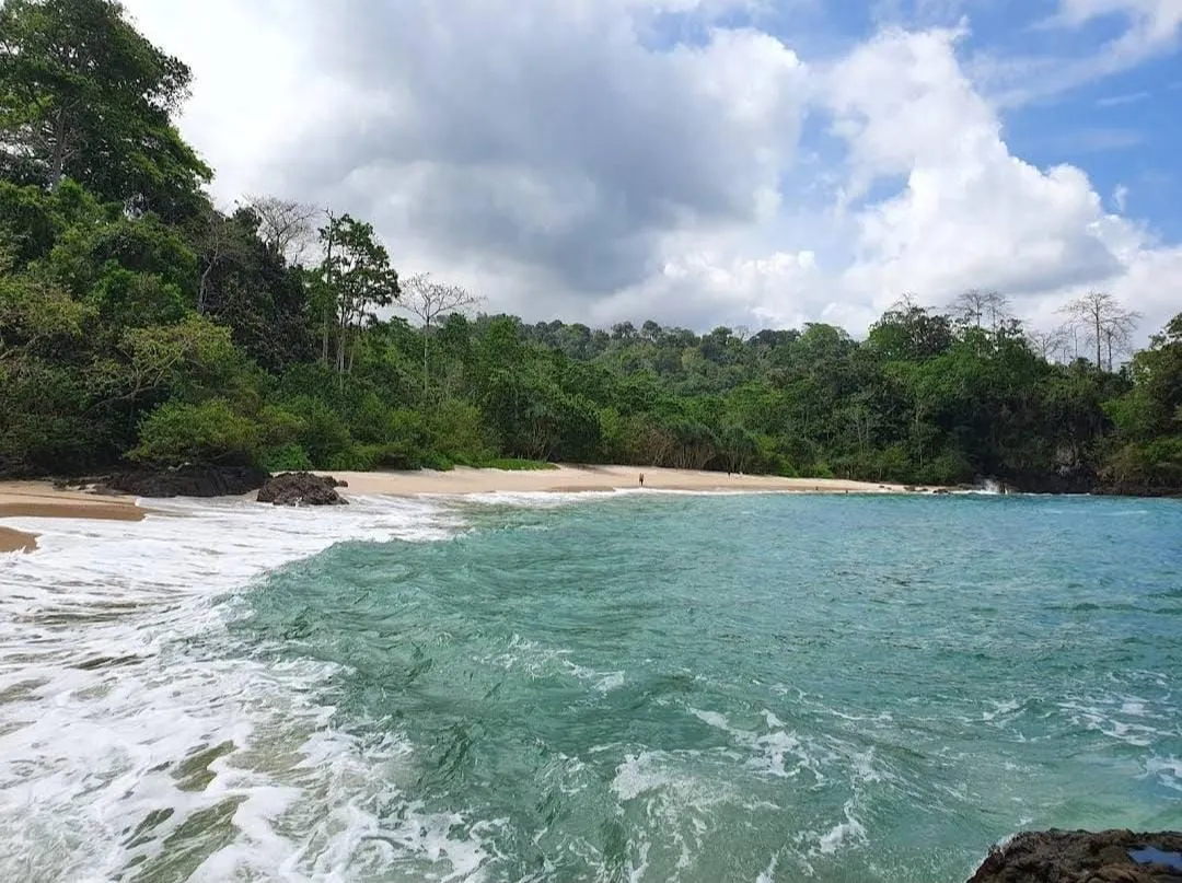 Banyuwangi Bukan Sekadar Gerbang ke Bali: Ini 5 Wisata Alamnya yang Paling Memukau