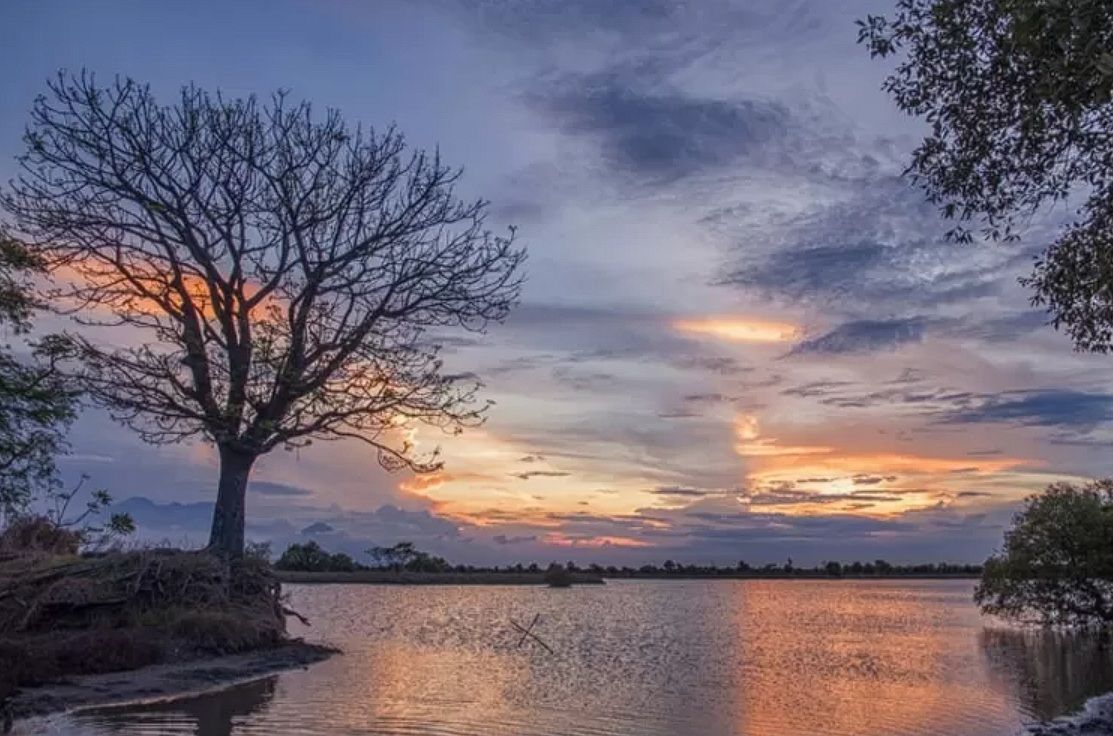 Pantai Kalanganyar: Desa Tambak dengan Pesona Sederhana di Timur Sidoarjo
