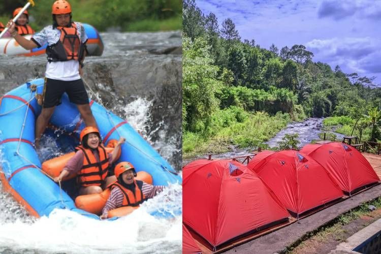 Pinus Camp 2 Banyuwangi, Perpaduan Liburan Alam dengan Sensasi Petualangan Seru 