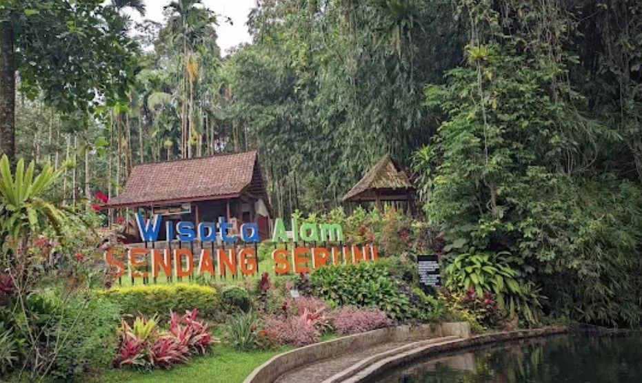 Sendang Seruni: Oase Suci di Balik Hutan Ijen yang Bikin Hati Tentram