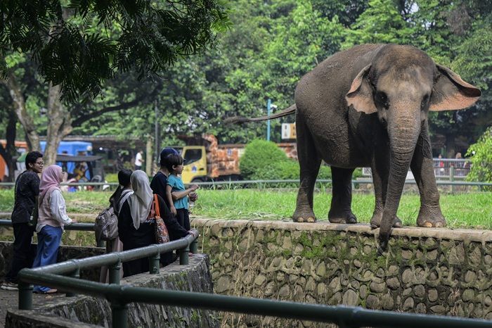 Long Wekend, Ragunan Jakarta Dikunjungi 11 Ribu Orang