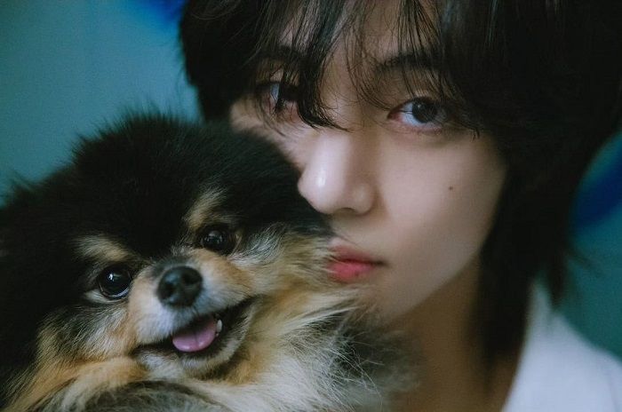 V BTS Syuting Bareng Anjing Kesayangan di MV 'Rainy Days', Visual nya Gak Main-main!