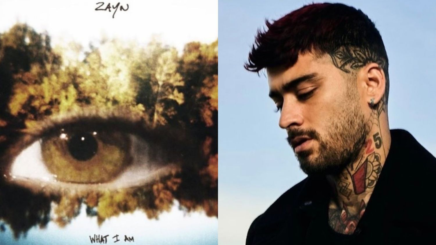 Zayn Malik Rilis Lagu Baru: 