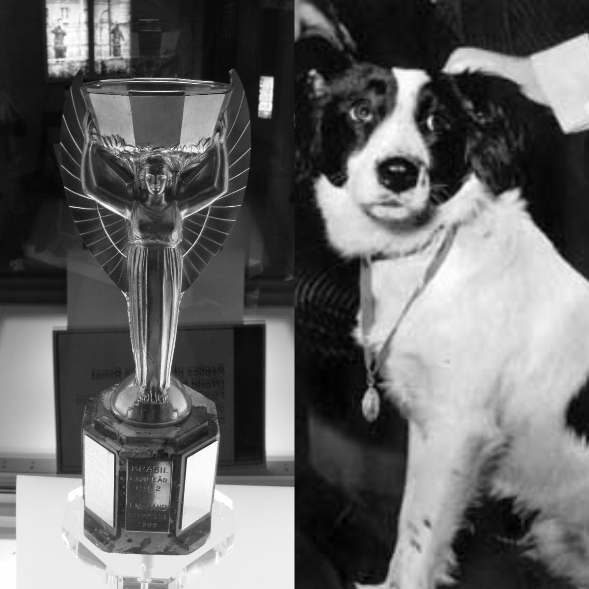 Kasus Pencurian Trofi Piala Dunia 1966 yang Berhasil dipecahkan oleh Seekor Anjing