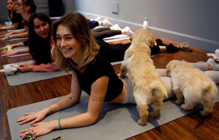 Puppy Yoga: Tren Baru Yoga Bersama Anak Anjing di Paris