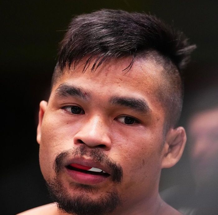 Hasil UFC 93: Jeka Saragih Kalah Kuncian dari Westin Wilson