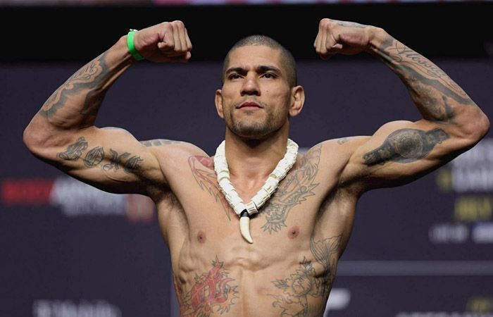 Alex Pereira Ogah Melawan Magomed Ankalaev untuk Perebutan Gelar UFC